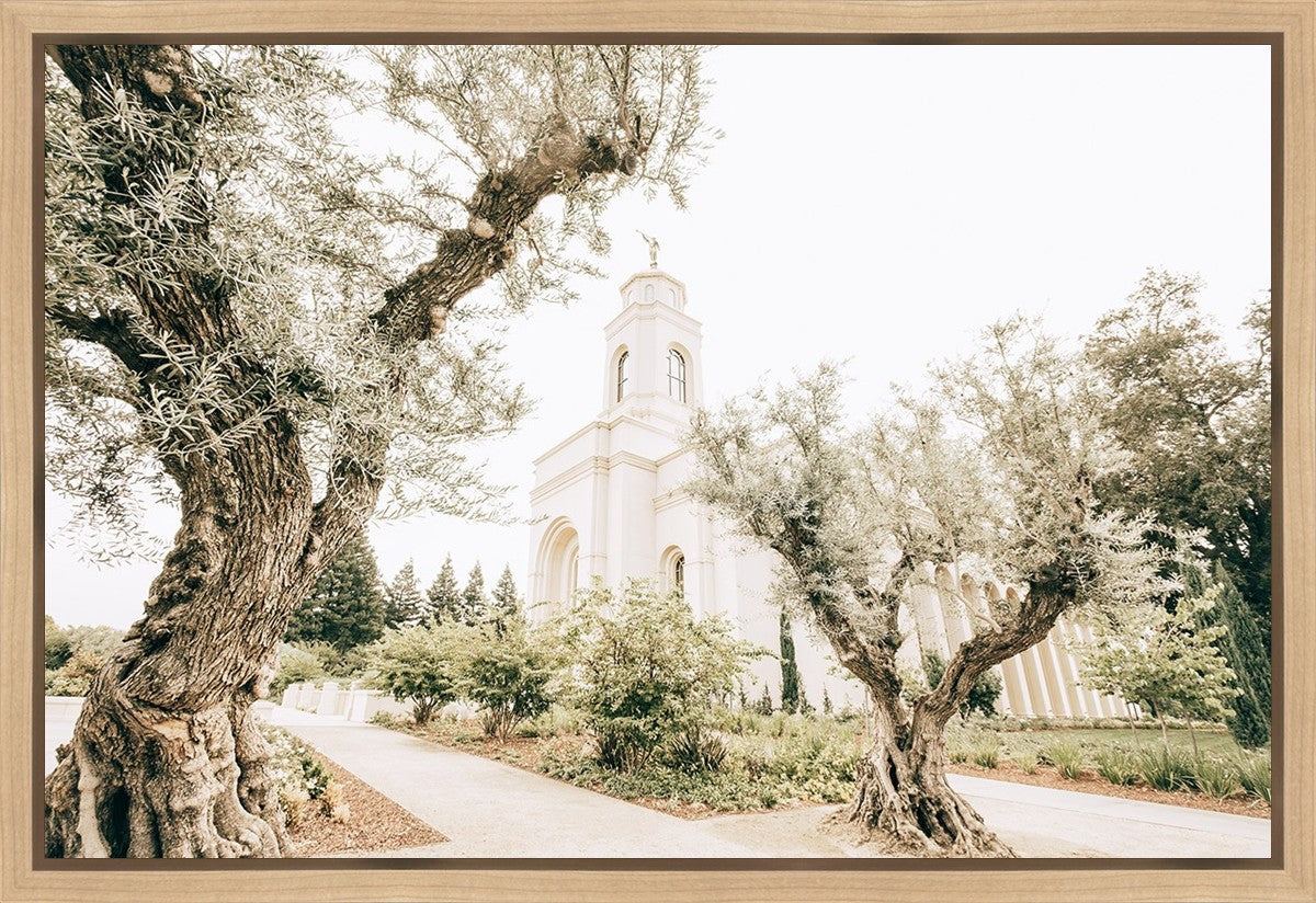 Feather River California Serenity