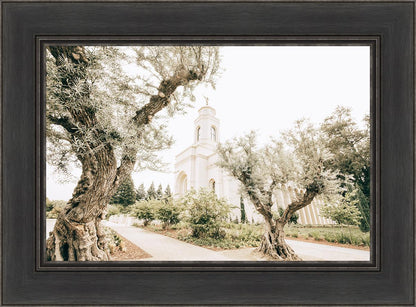 Feather River California Serenity