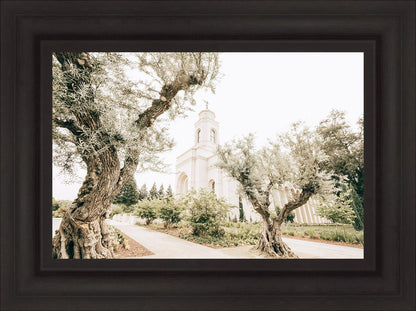 Feather River California Serenity