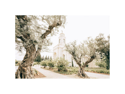 Feather River California Serenity