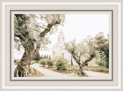 Feather River California Serenity