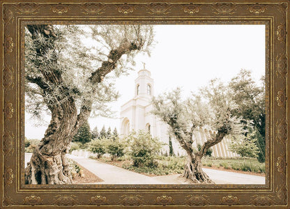 Feather River California Serenity