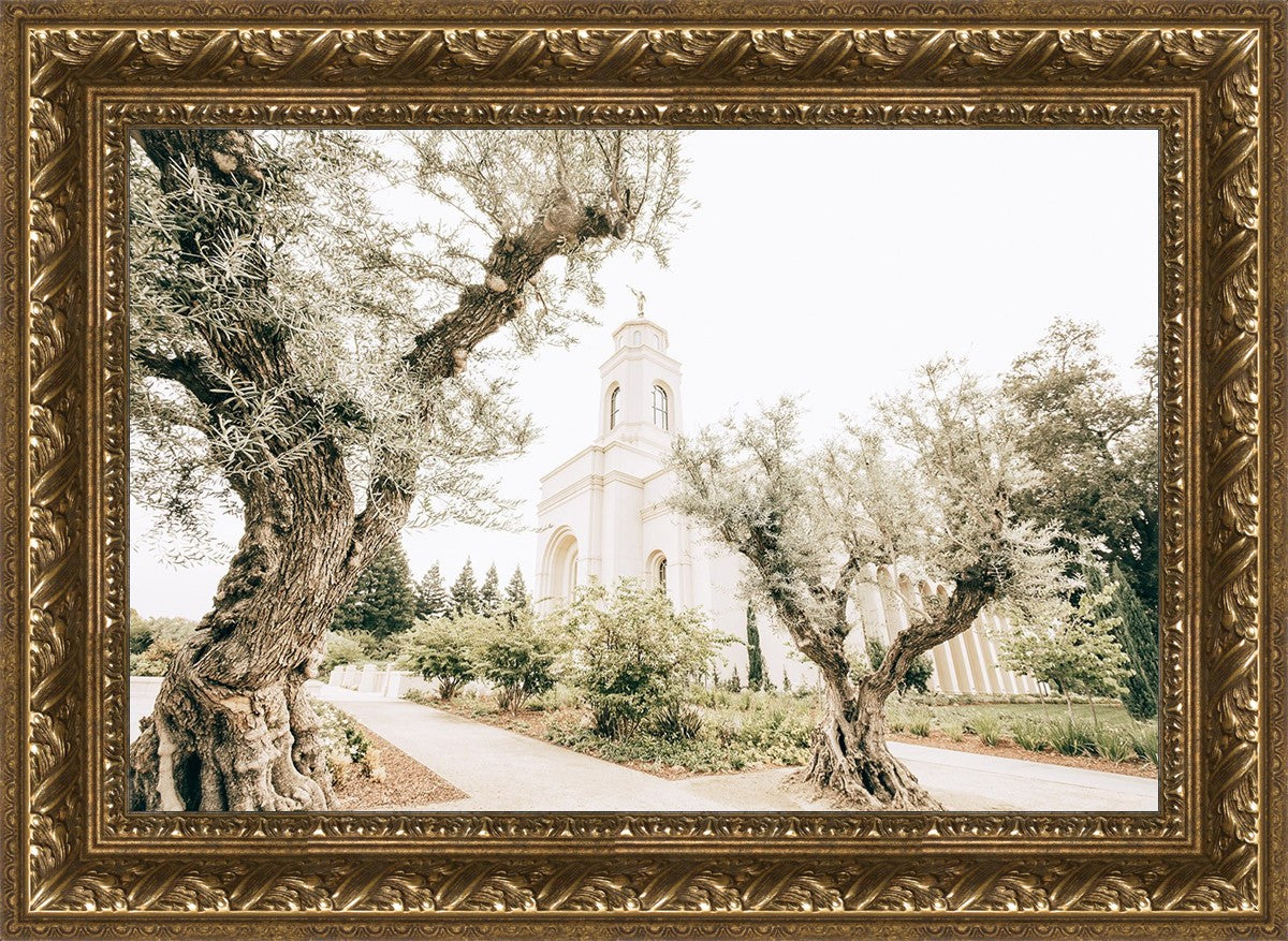 Feather River California Serenity