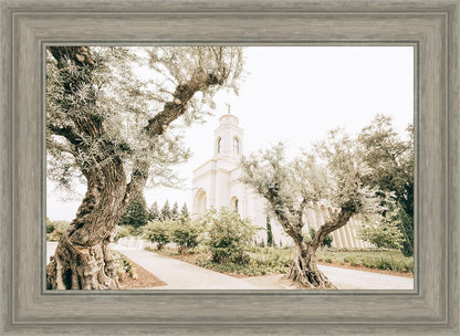 Feather River California Serenity