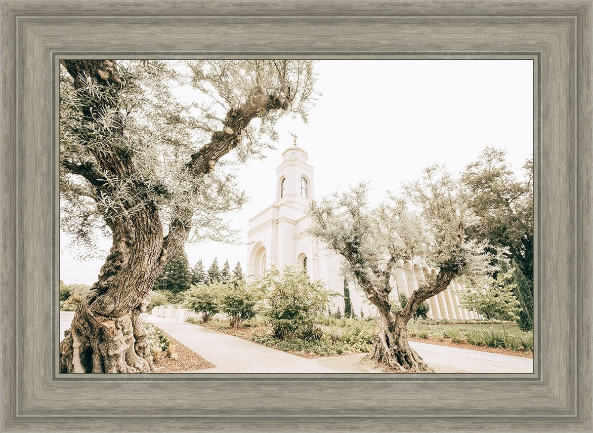 Feather River California Serenity