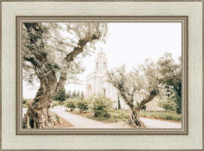 Feather River California Serenity