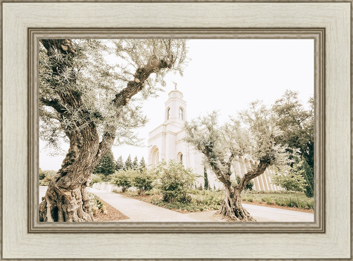 Feather River California Serenity