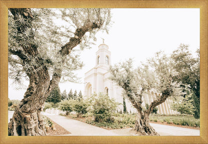 Feather River California Serenity