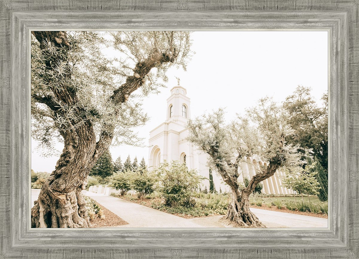 Feather River California Serenity