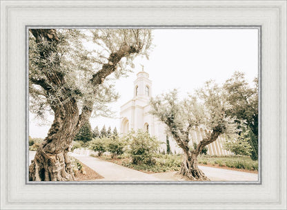 Feather River California Serenity