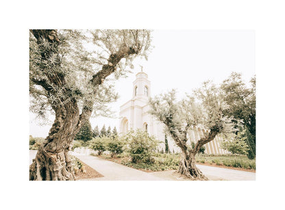 Feather River California Serenity