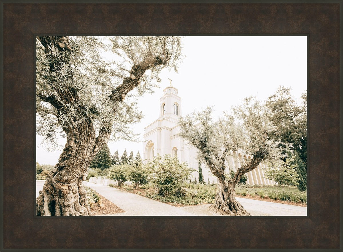 Feather River California Serenity