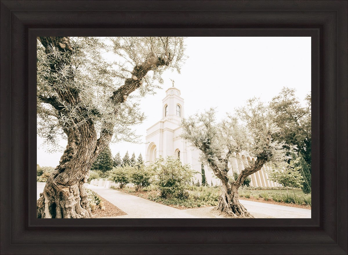 Feather River California Serenity