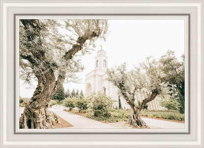 Feather River California Serenity