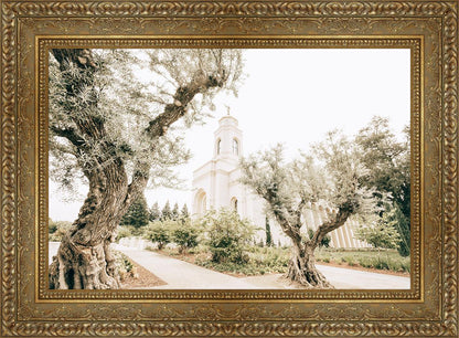 Feather River California Serenity