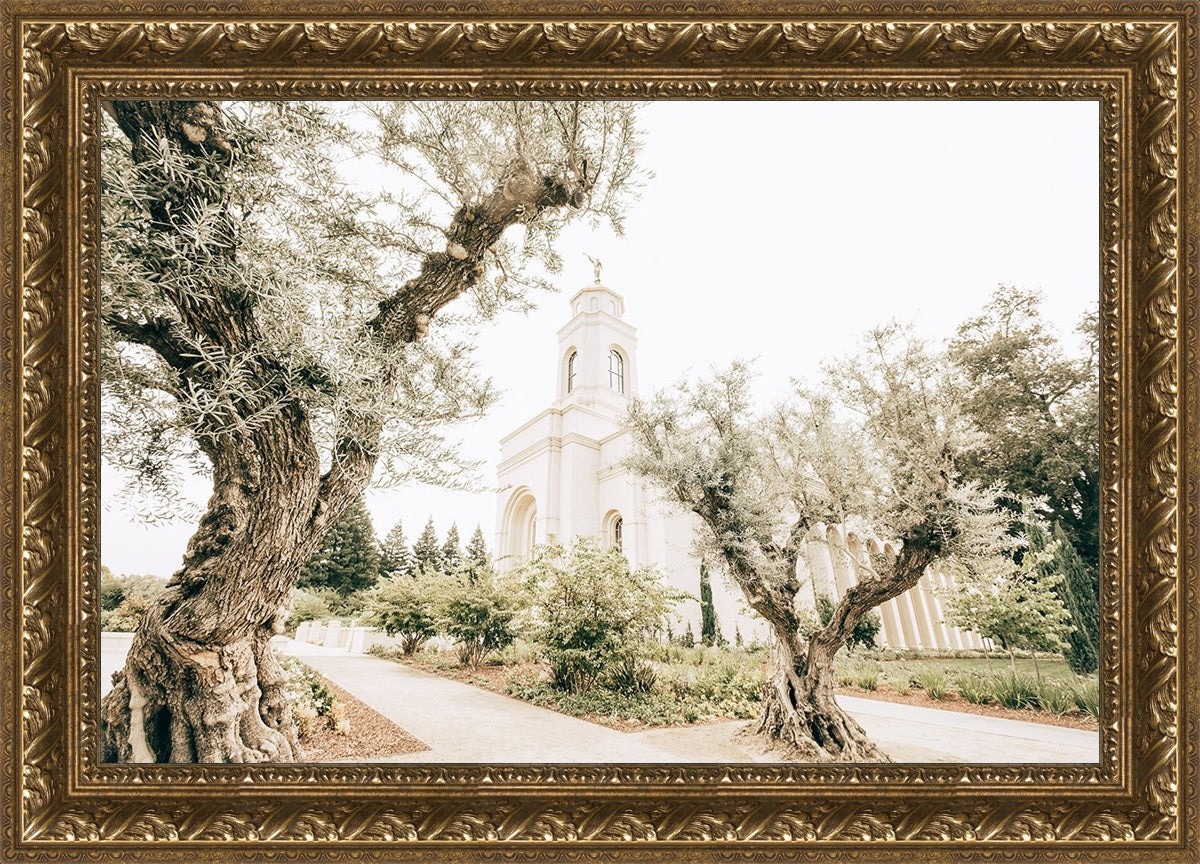 Feather River California Serenity