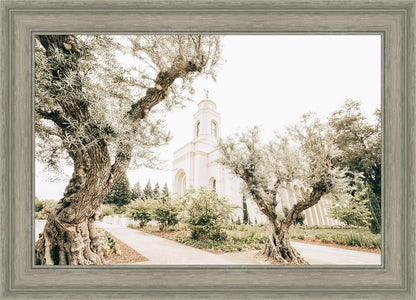 Feather River California Serenity