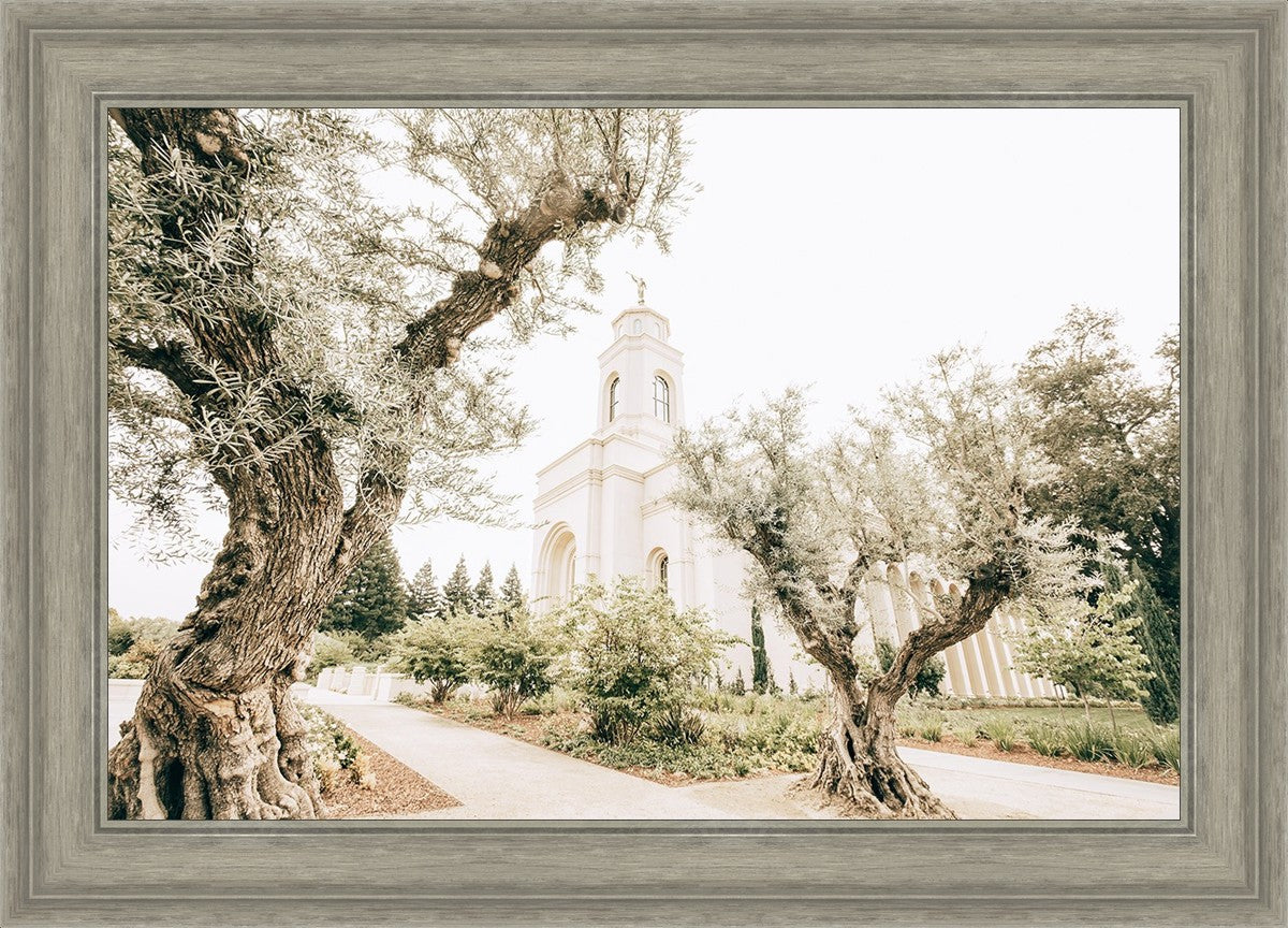 Feather River California Serenity