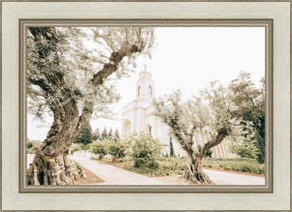 Feather River California Serenity