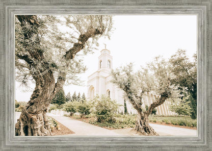 Feather River California Serenity