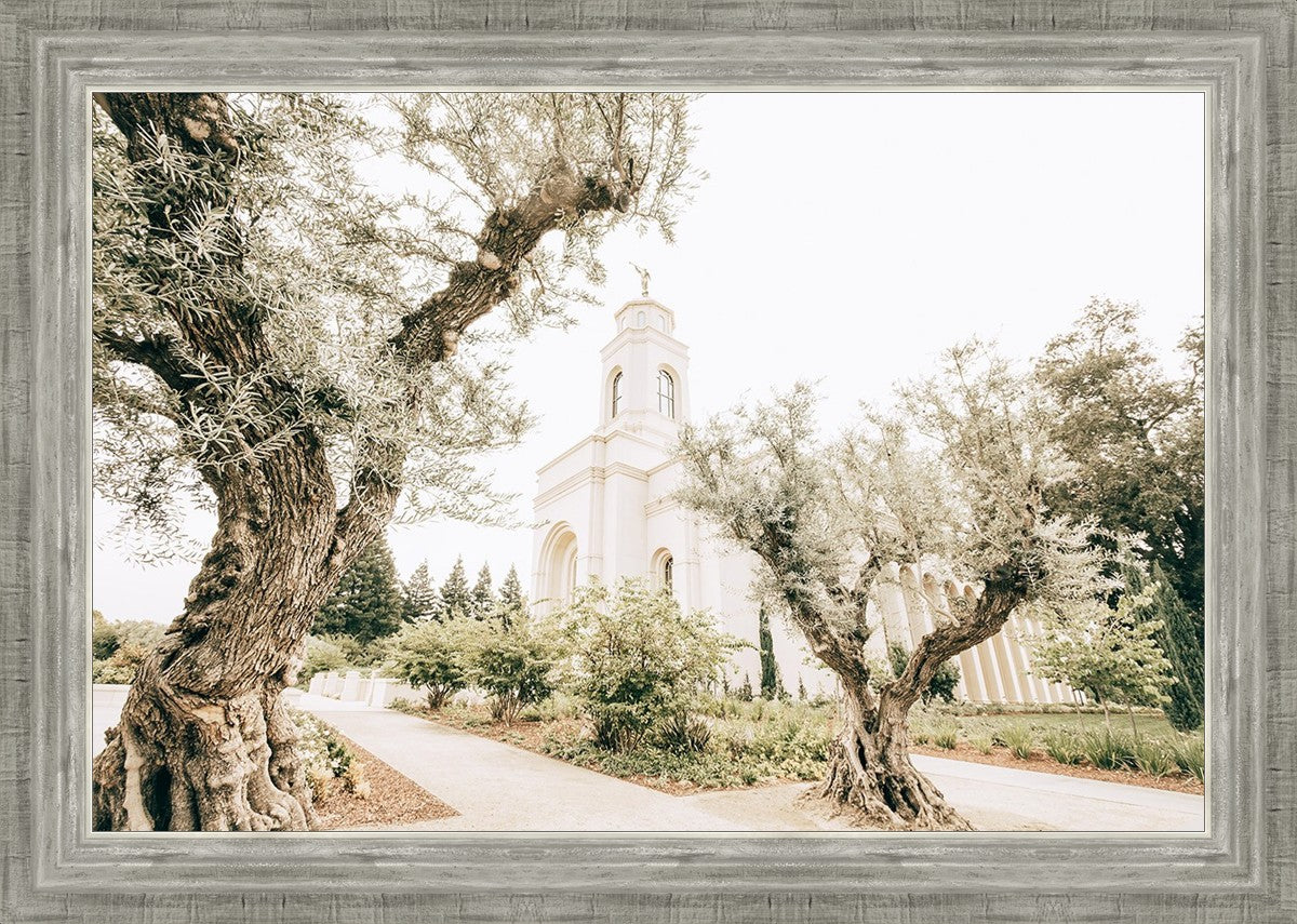 Feather River California Serenity