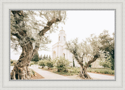 Feather River California Serenity