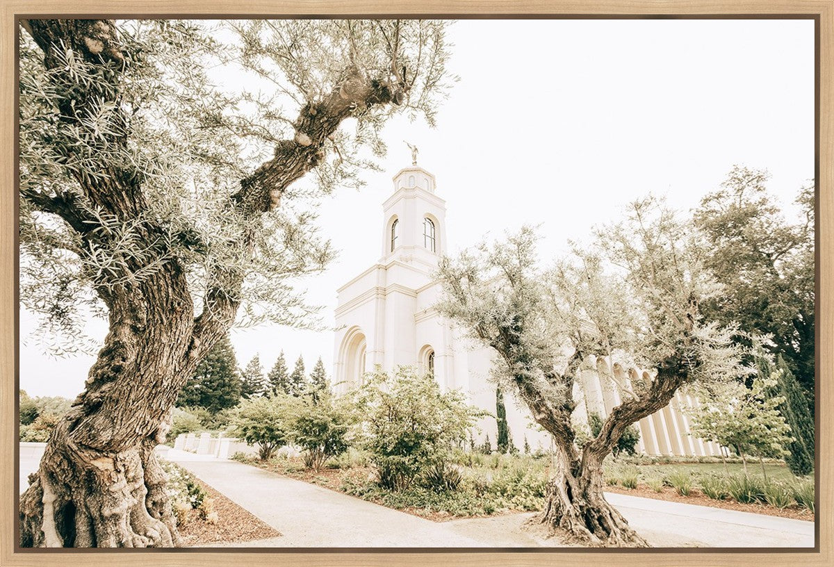 Feather River California Serenity