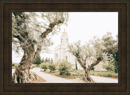 Feather River California Serenity