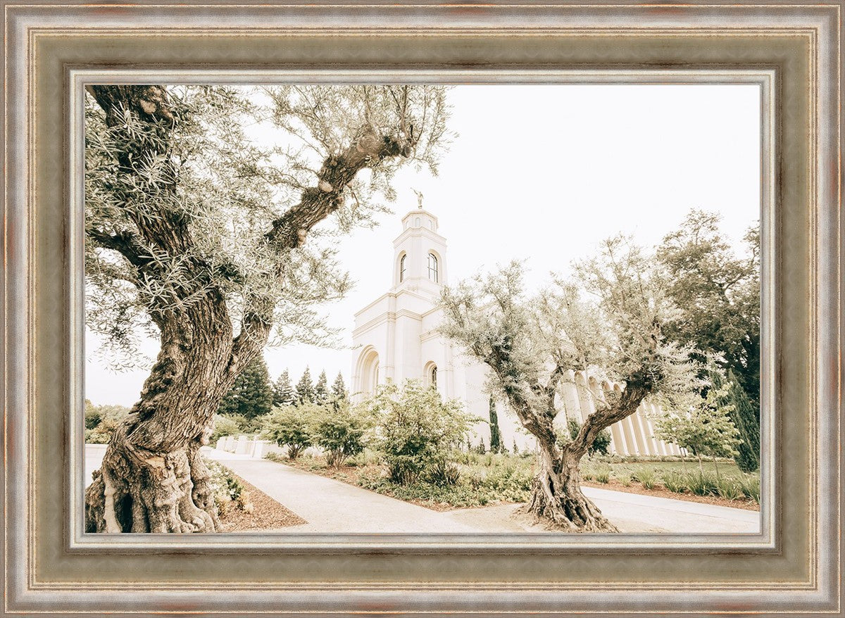 Feather River California Serenity