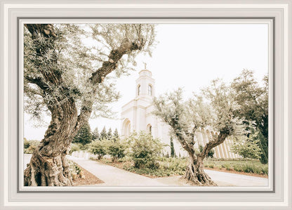 Feather River California Serenity