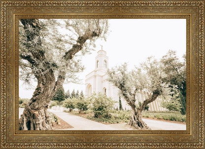 Feather River California Serenity