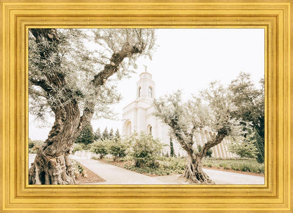 Feather River California Serenity