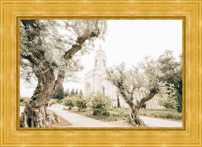 Feather River California Serenity