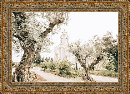 Feather River California Serenity