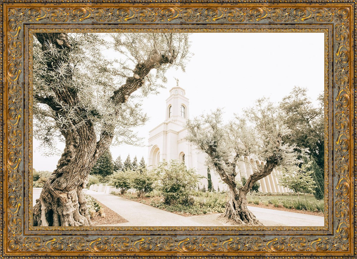 Feather River California Serenity