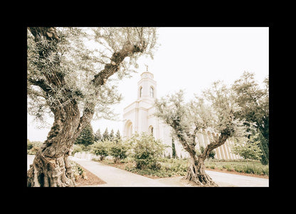 Feather River California Serenity