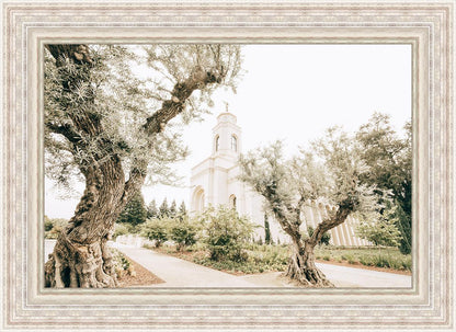 Feather River California Serenity