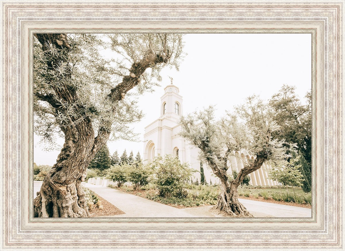 Feather River California Serenity