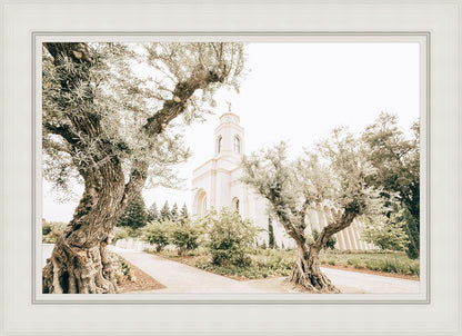 Feather River California Serenity