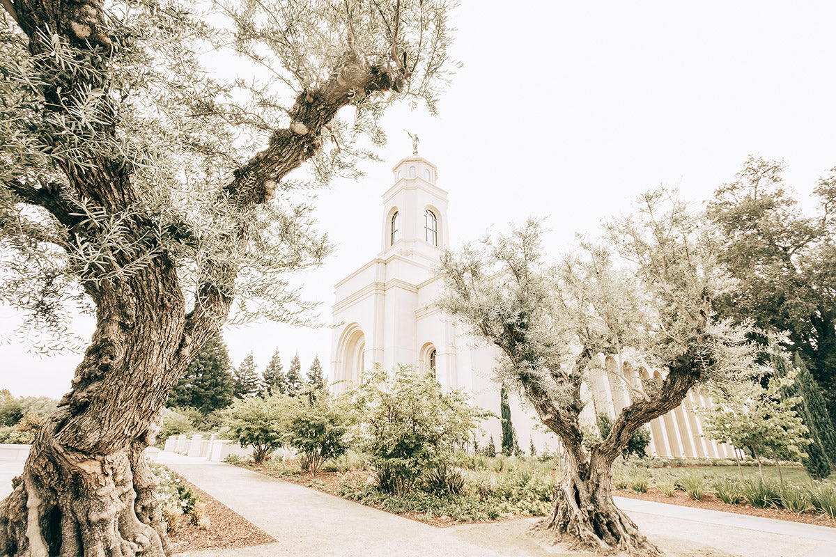 Feather River California Serenity