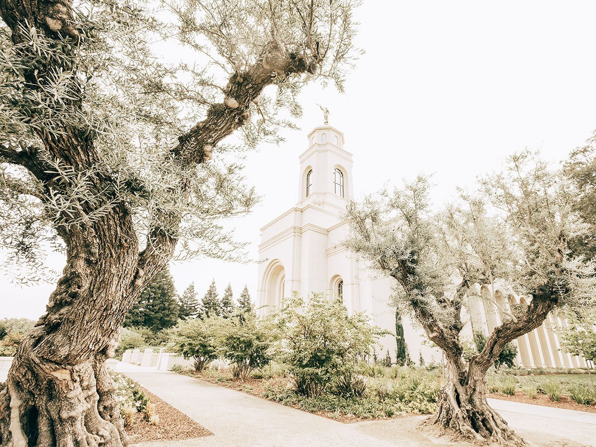 Feather River California Serenity