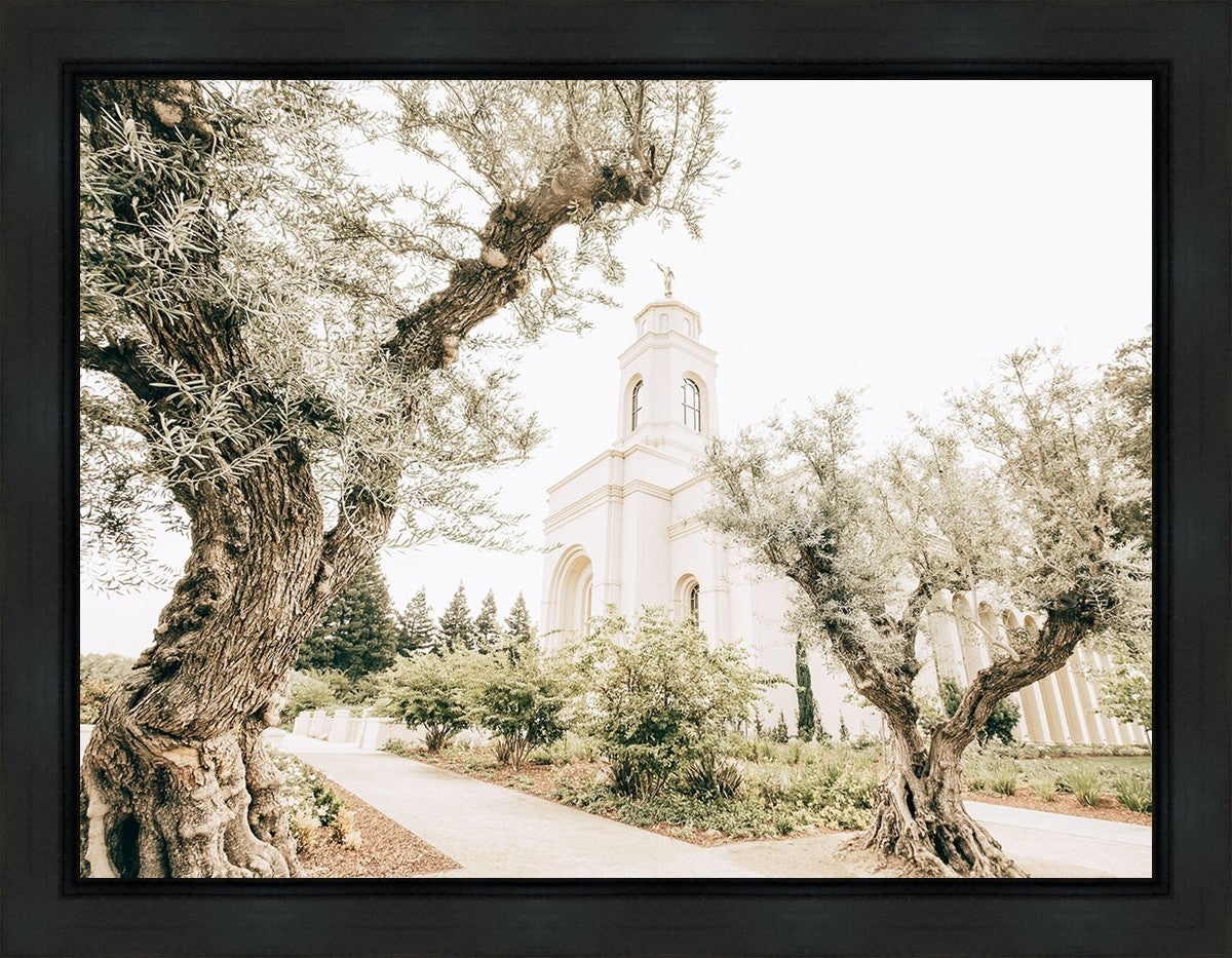 Feather River California Serenity