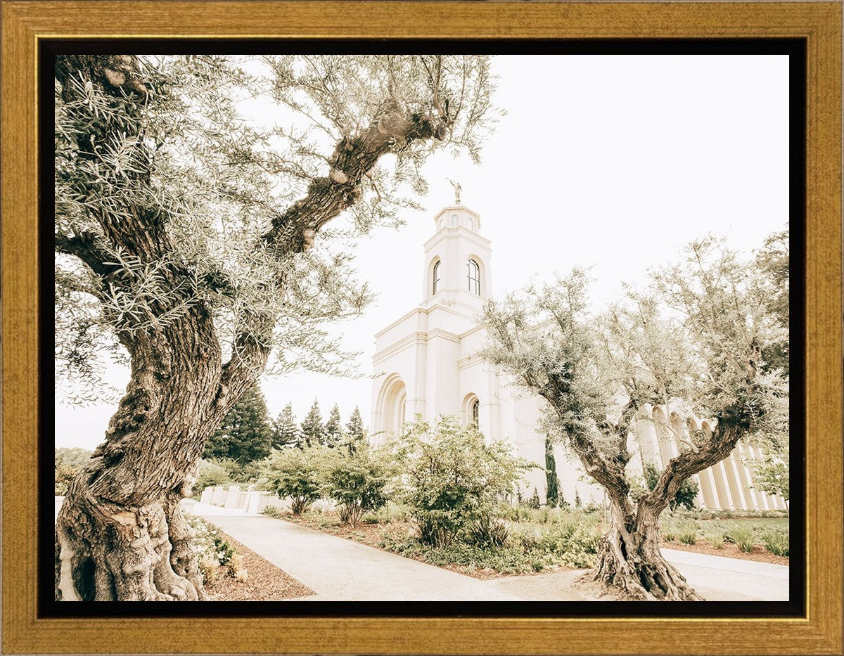 Feather River California Serenity
