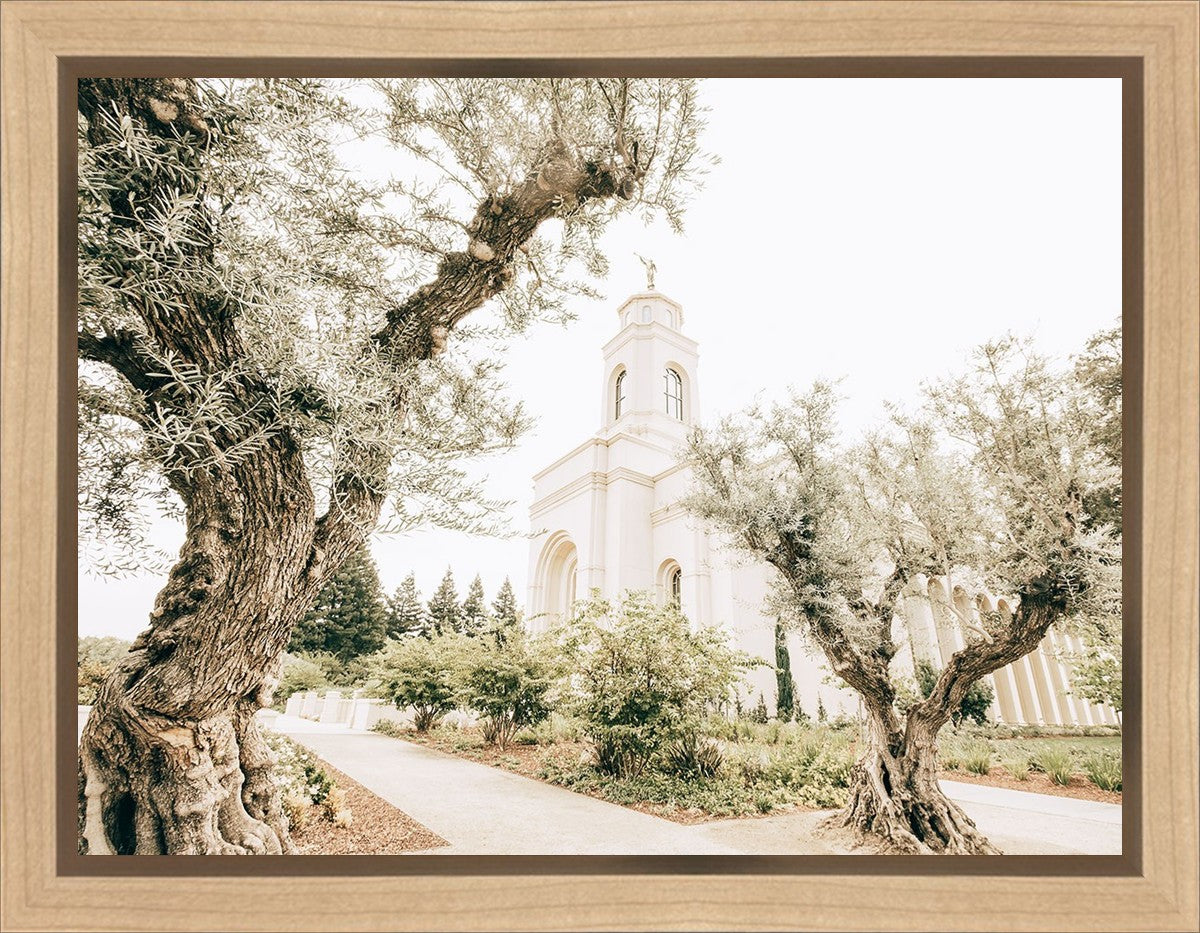 Feather River California Serenity