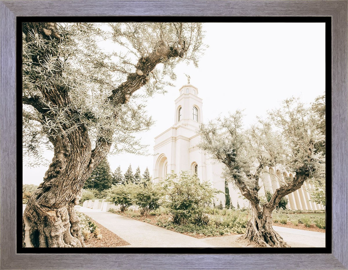 Feather River California Serenity