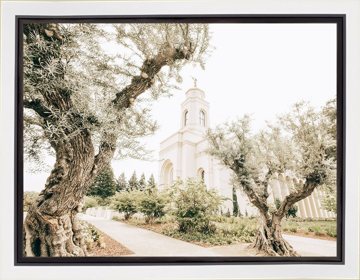 Feather River California Serenity