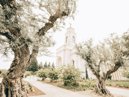 Feather River California Serenity