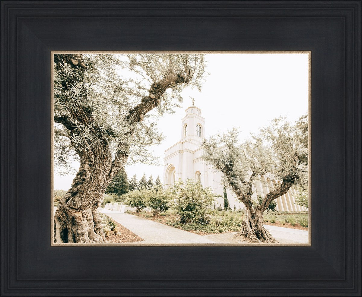 Feather River California Serenity