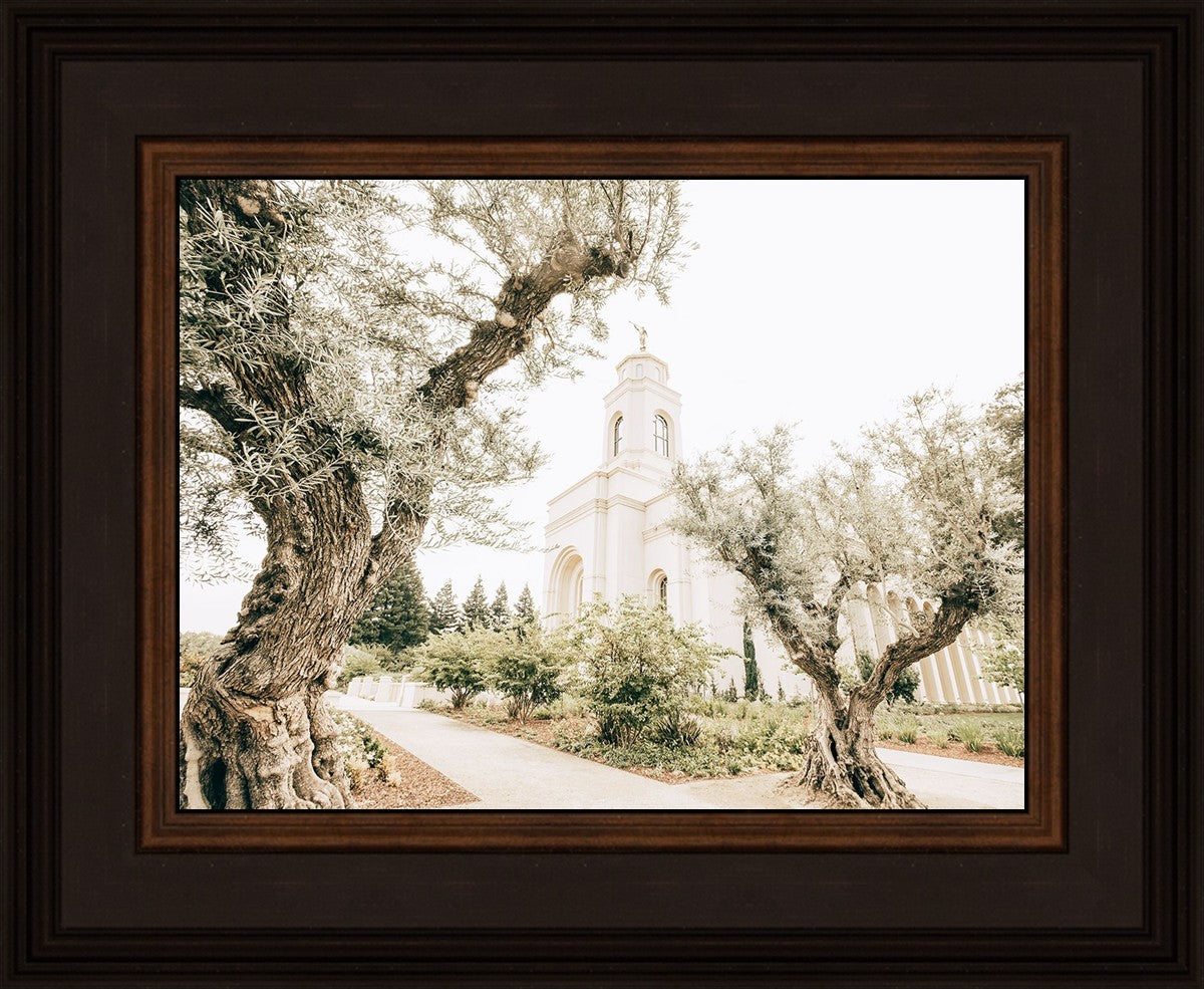 Feather River California Serenity