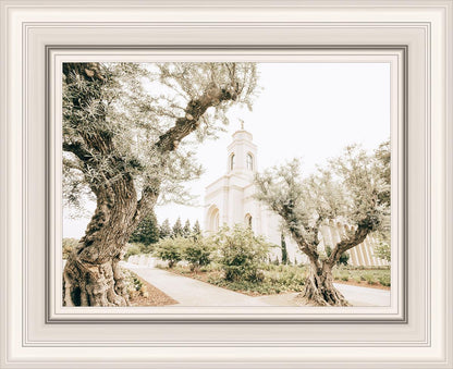 Feather River California Serenity